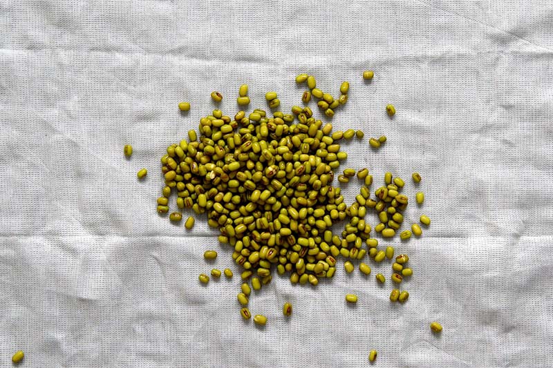 top shot of soaked mung beans on a white napkin