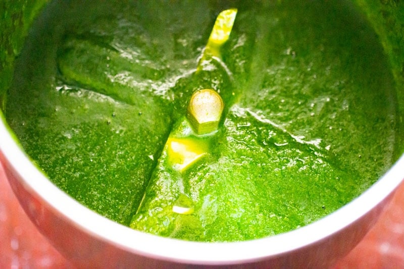 Close up shot of coriander chutney in small blender.