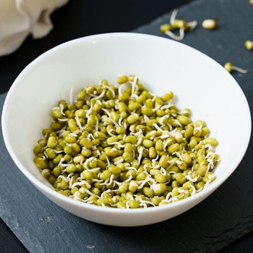 mung bean sprouts in a white bowl placed on dark gray slate board