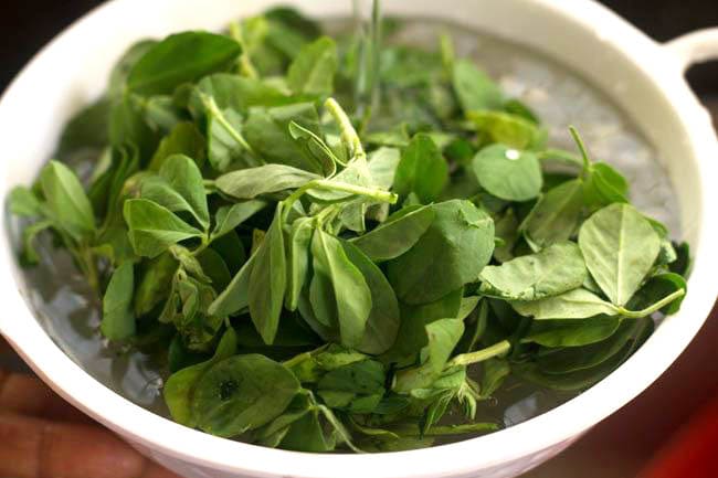 fresh fenugreek leaves in a white bowl with water