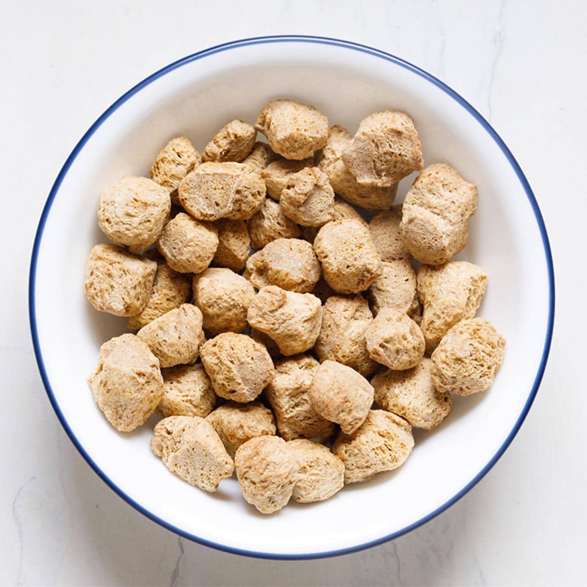 blue rimmed white bowl filled with soya chunks