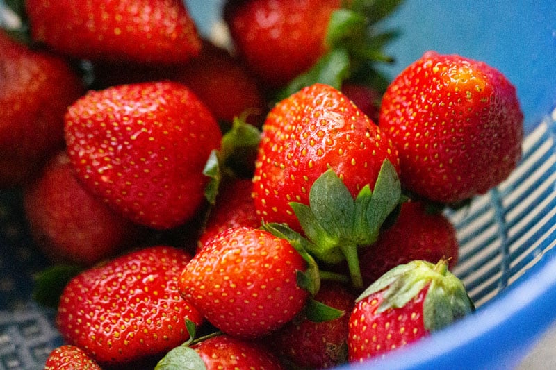 strawberries in a dark blue colander