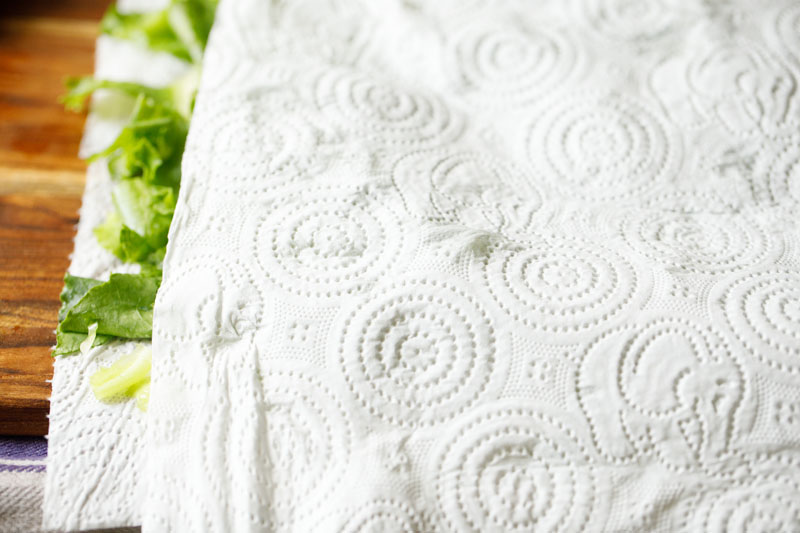 layer of paper towels placed atop lettuce to fully dry it