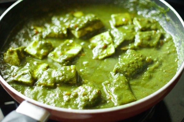 paneer cubes mixed with the palak gravy or spinach sauce for making palak paneer recipe