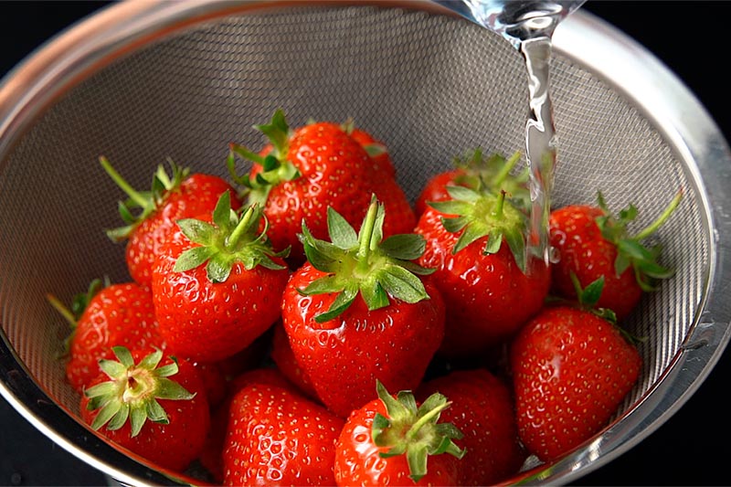 rinsing a mesh colander full of strawberries