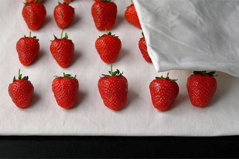 drying berries with a cotton cloth