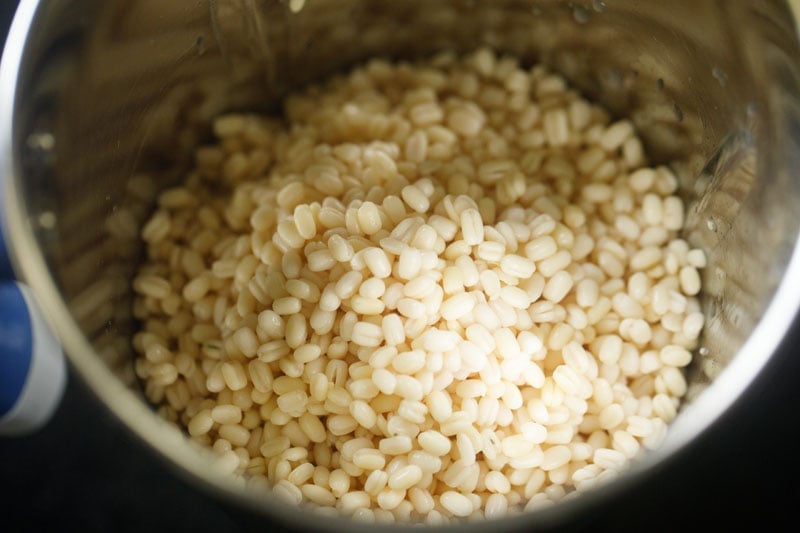 urad lentils in a blender