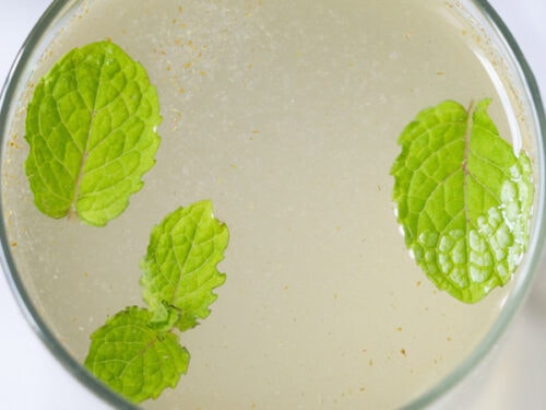 closeup shot of shikanji in a glass with mint leaves