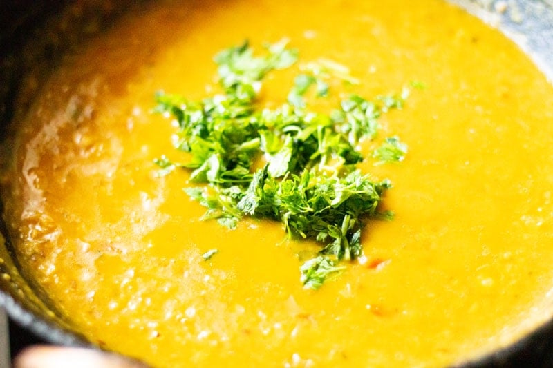 chopped coriander (cilantro) leaves on top of chana dal