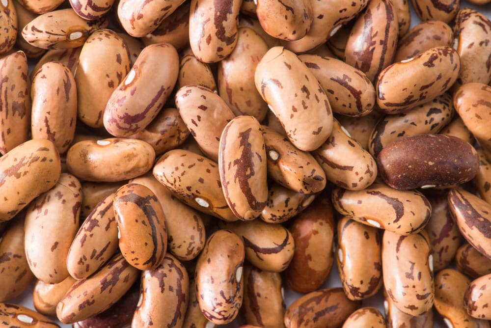 closeup photo of pink colored rajma or chitra rajma