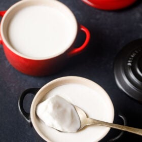 set curd in a red bowl with a spoon filled with curd with text layover.
