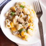 mushroom pasta on a white plate with a fork.