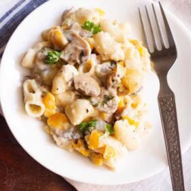 mushroom pasta on a white plate with a fork.