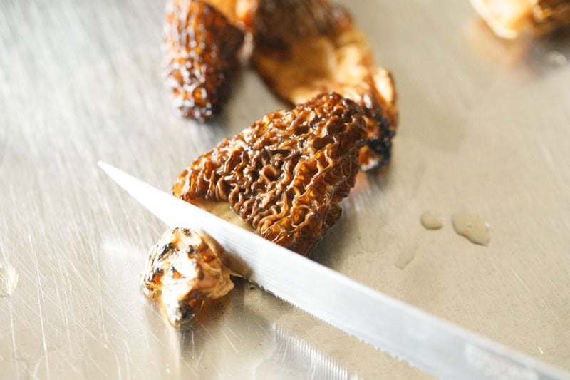 trimming lower part of gucchi mushroom. 