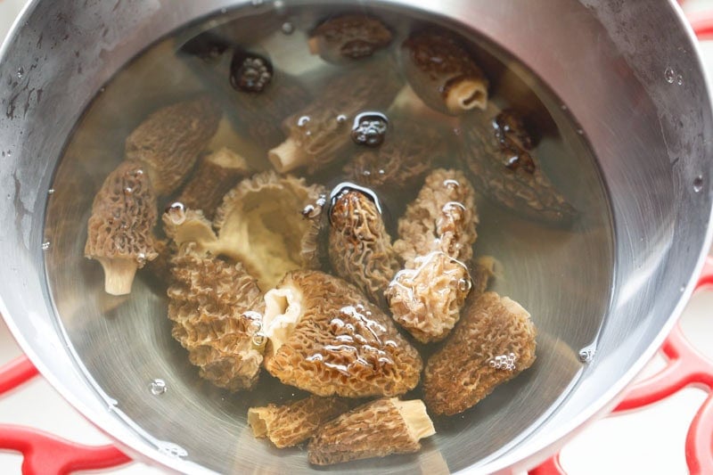 soaking cleaned gucchi mushroom in warm water. 