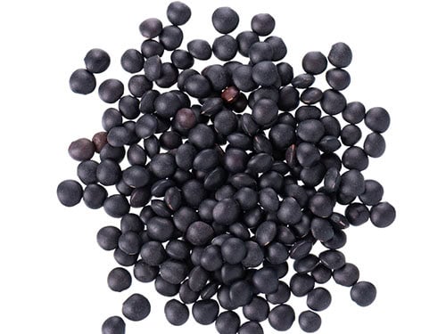 closeup shot of beluga lentils.