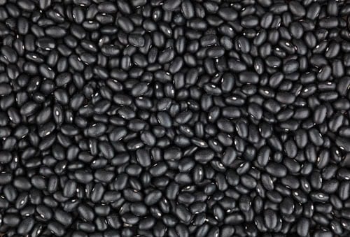 black beans closeup shot.