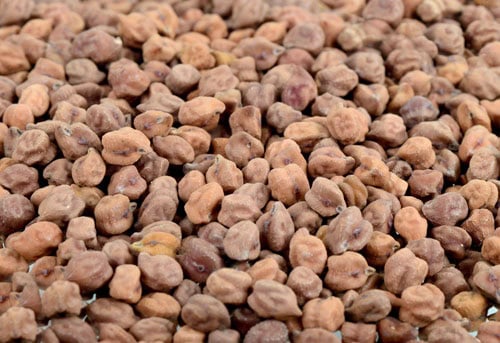 black chickpeas closeup shot.