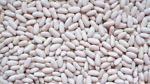 closeup shot of cannellini beans.