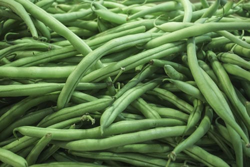 green french beans closeup image.