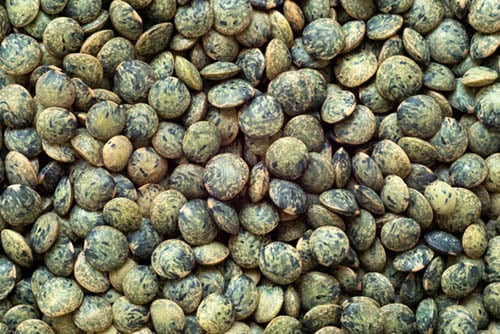 closeup shot of french puy lentils.