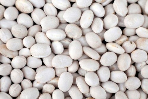 closeup shot of great northern beans.