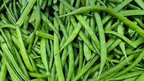closeup image of guar bean pods.