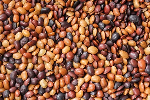 horse gram closeup image.