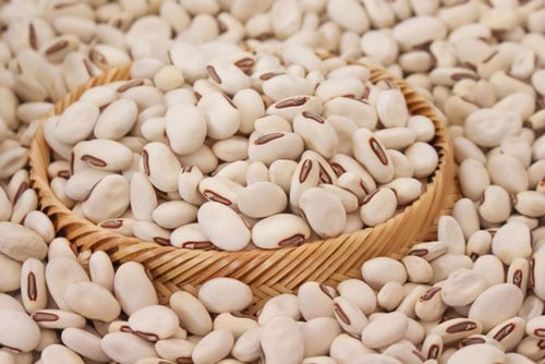 closeup image of jack beans.