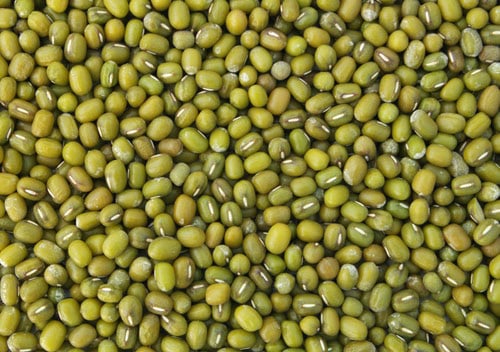 closeup image of green moong beans.