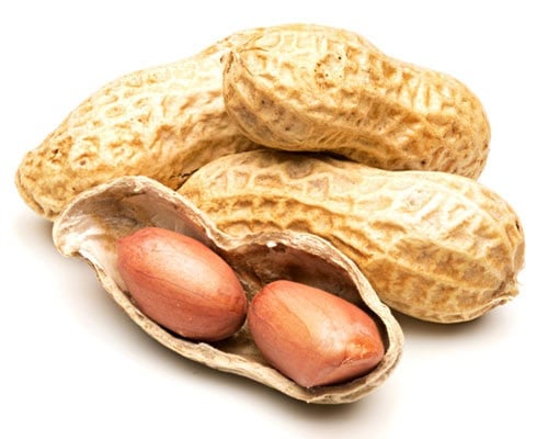 peanut pods with an open shell with two raw peanuts on white background.