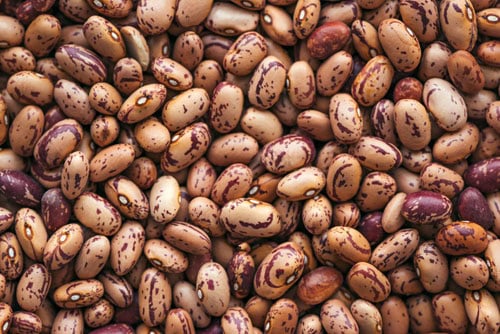 closeup shot of pinto beans.
