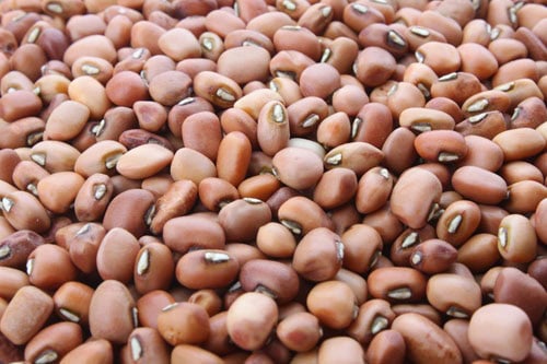 closeup shot of red cow peas.
