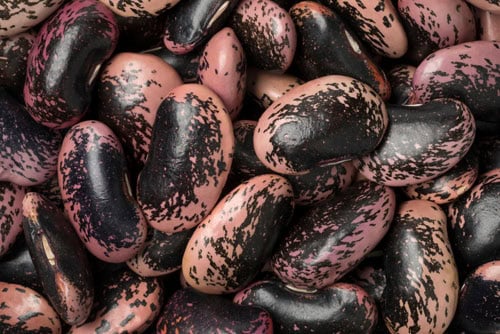 closeup shot of scarlet runner beans.