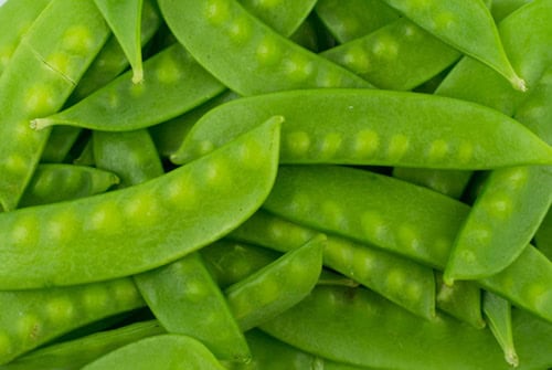 green snow pea pods closeup image.