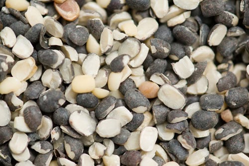 split urad dal with skin closeup shot.