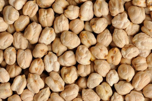 white chickpeas closeup shot