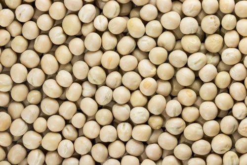 dried white peas closeup shot