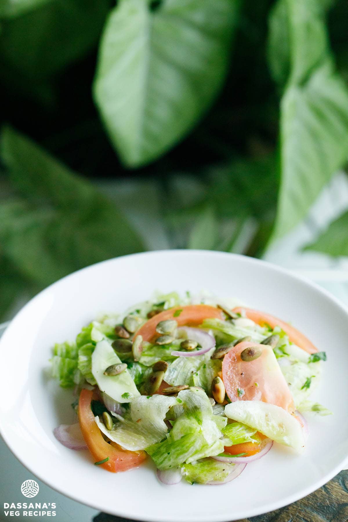 green salad on a white plate with a green background of large leaves behind.
