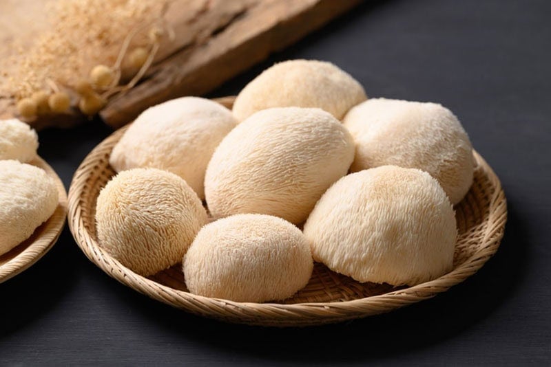 Lion's Mane placed on a shallow bowl.