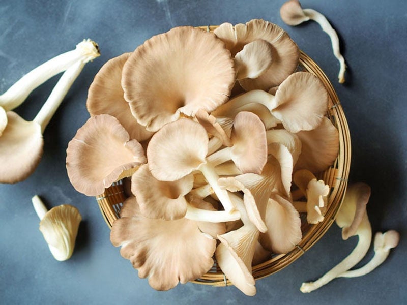 Oyster Mushrooms in a bowl.