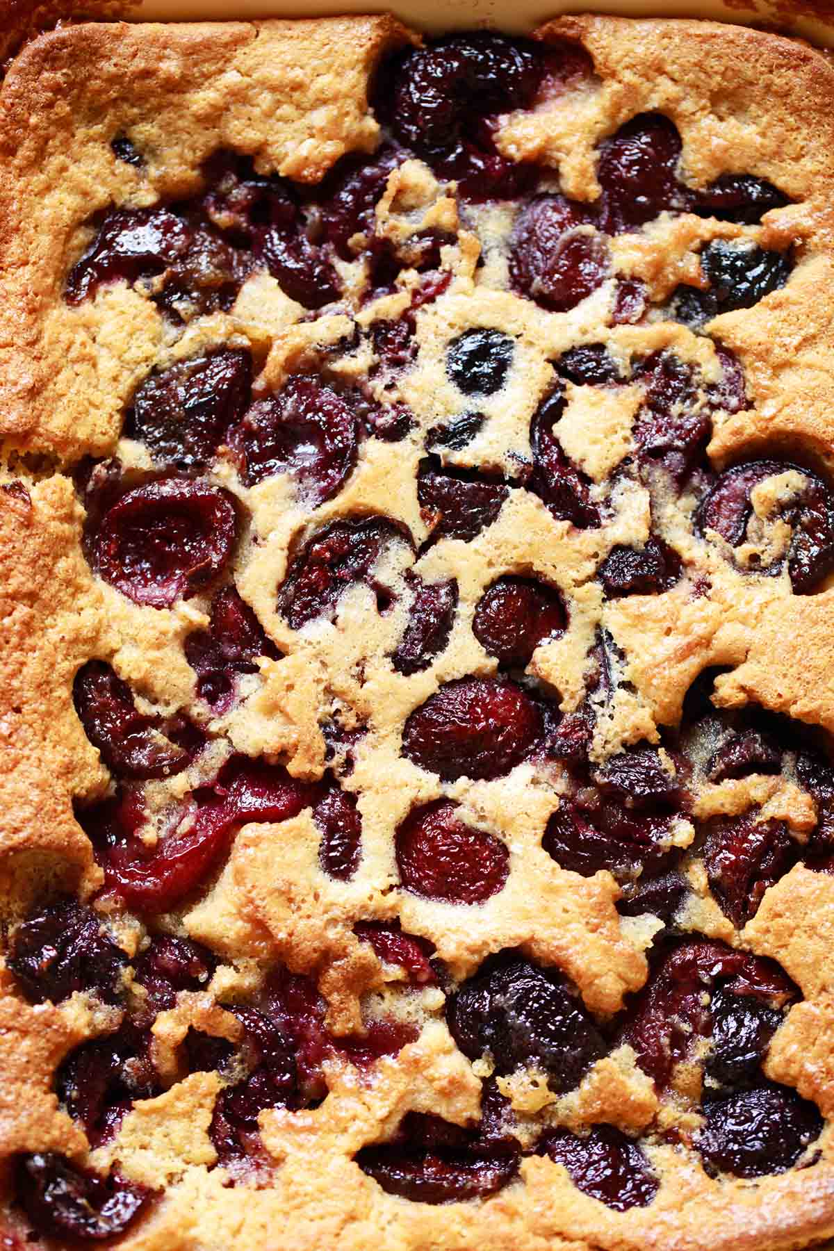 Baked cherry cobbler with golden crust