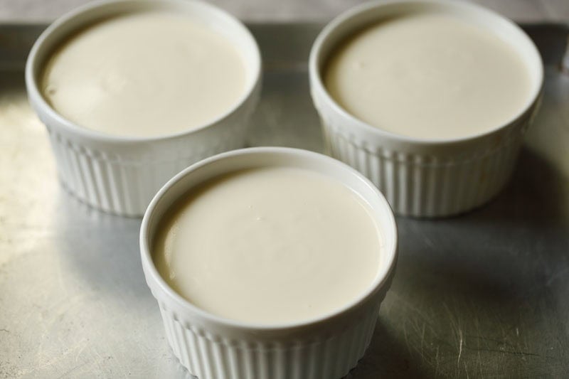 Creme brûlée custard in ramekins on a baking tray.