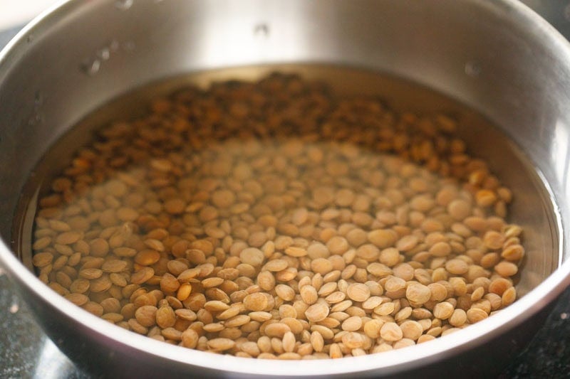 Soaked brown lentils in a bowl.