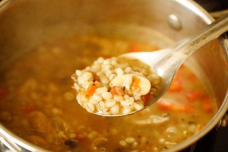 Spoon showing texture of cooked barley.