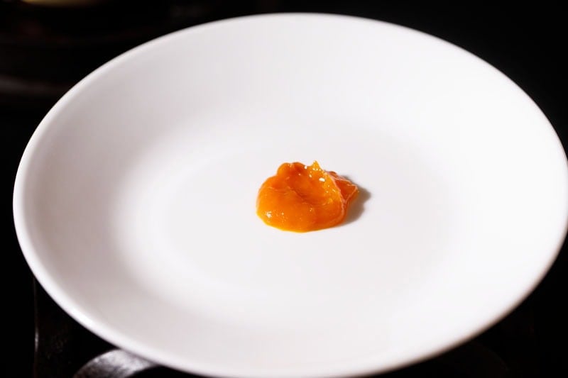 Small dollop of mango jam on plate.