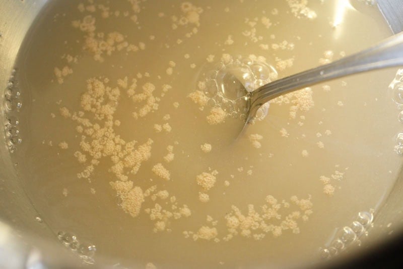 Yeast dissolving in water.
