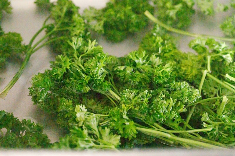 Parsley in water.