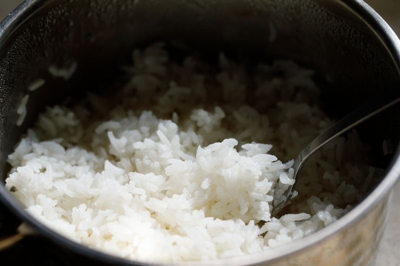 Cooked jasmine rice fluffed with a fork.