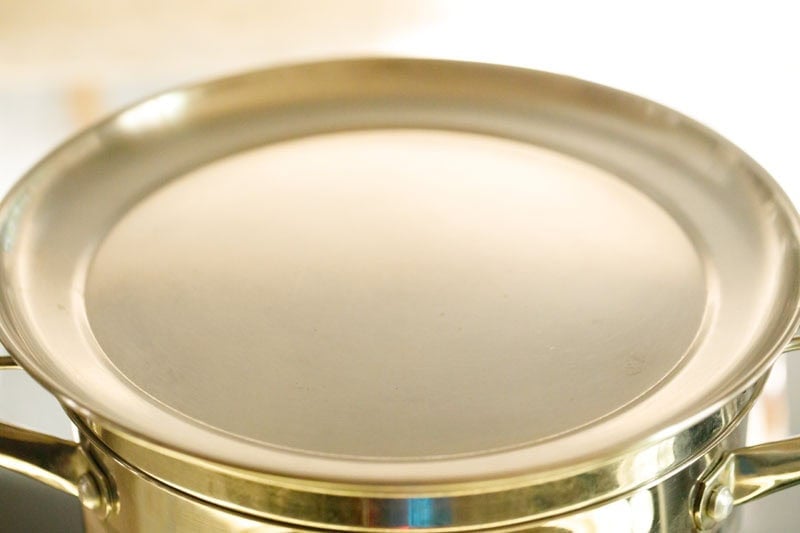 Steamer pot covered with lid.